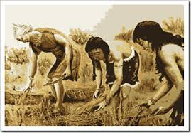 Images (4)